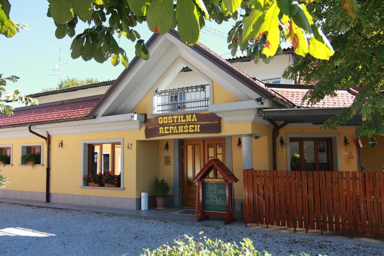 Penzion Repansek Radomlje Экстерьер фото