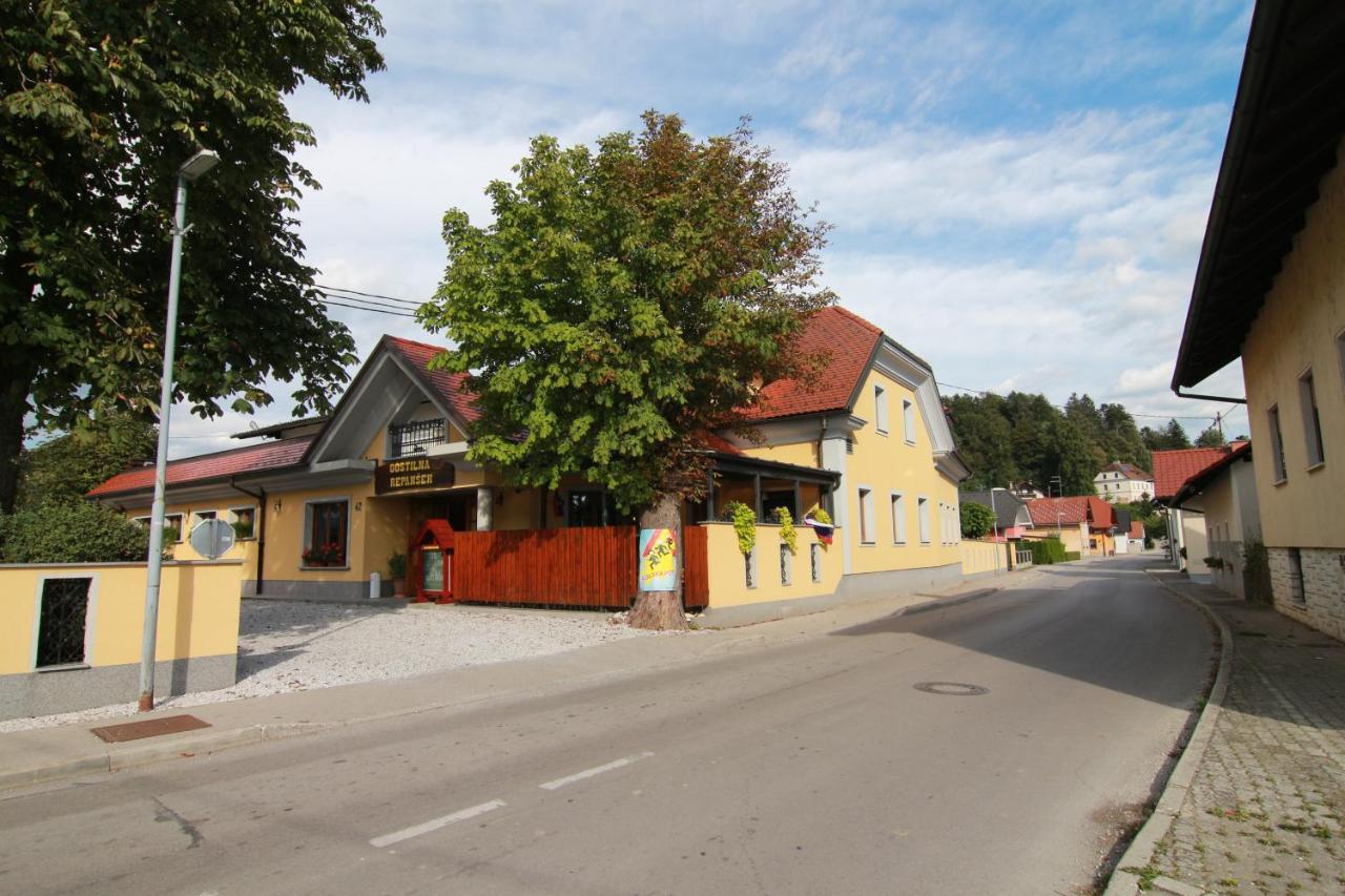 Penzion Repansek Radomlje Экстерьер фото